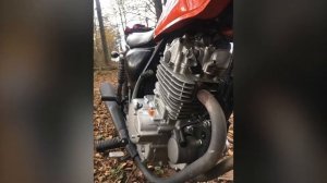 Suzuki grasstracker big boy 250