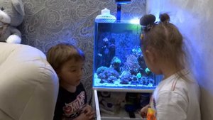 Что необходимо иметь и знать для ухода за морским аквариумом