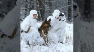 "На зелёные пагоны" (Написано не мной я просто исполнил)
