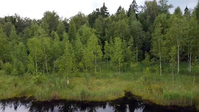 Щепкино болото
