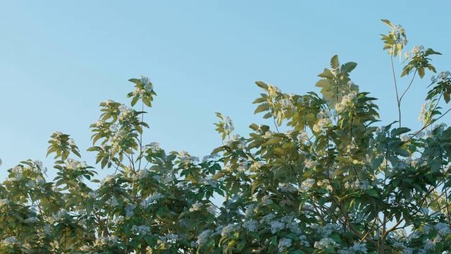 The Grove 3D test смотреть онлайн