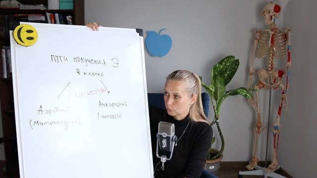 Что такое "закисление организма"?