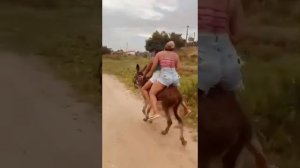 Doble diversión donkey
