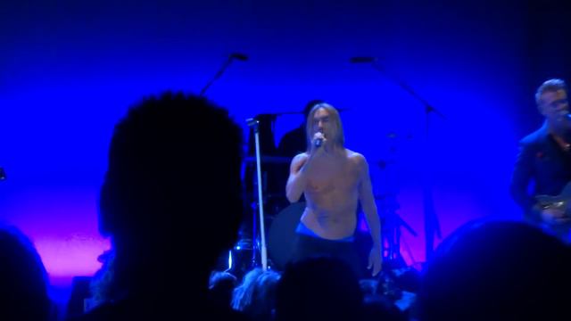 Iggy Pop "Gardenia" clip - Chicago, IL 4-6-2016 смотреть онлайн
