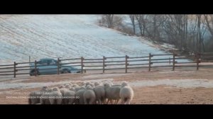 Переозвучка рекламы GENESIS GV60,  (Re-design sound для рекламы)