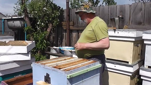 Очередной осмотр семей 15 мая смотреть онлайн