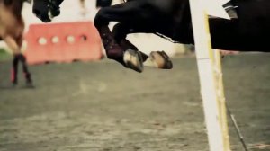 Клип про лошадей-Так красиво🥀