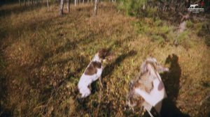 Добыть на Урале | Осенние высыпки вальдшнепа в октябре | ФИНАЛ СЕЗОНА 2023