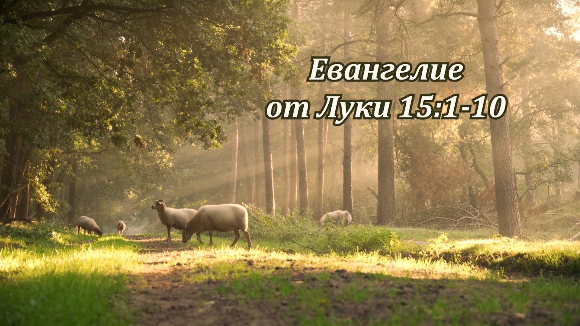 Евангелие от Луки 15:1-10