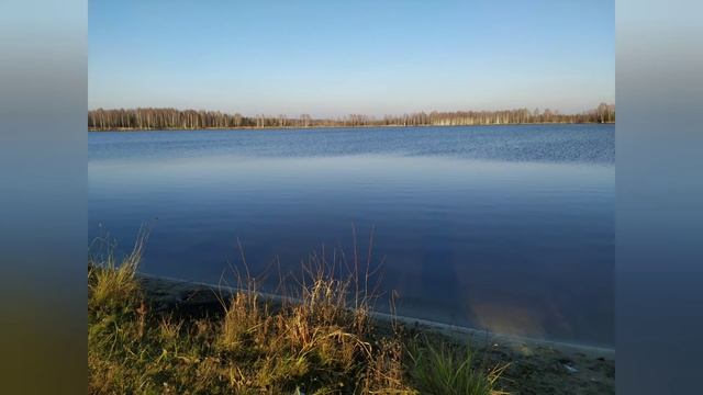 #4ноября - #праздник Казанской иконы Богородицы
