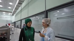 Тысячи тортов в день! Самое крупное кондитерское производство в Узбекистане!