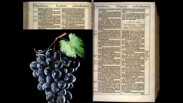 Leuiticus 19~21 | 1611 KJV | Day 38 смотреть онлайн