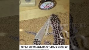 Когда снимаешь бинт с мехенди