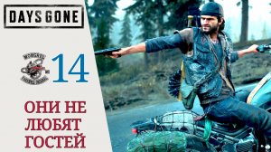 ☠ ОНИ НЕ ЛЮБЯТ ГОСТЕЙ - Прохождение Days Gone (Жизнь после) #14 Моменты просветления | Дей