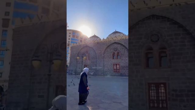 ПРИШЛО ВРЕМЯ - ВСПОМНИТЬ!.. "ТО,.. - ЧТО ХОРОШО ЗАБЫЛИ" 🕋