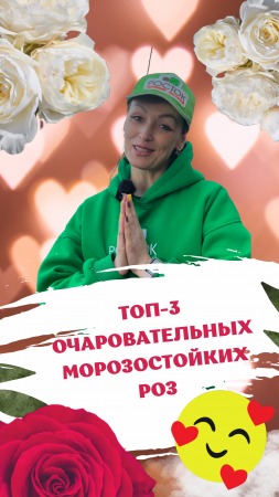 Топ-3 Очаровательных роз