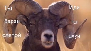 Ты олень тупой (10 минут)