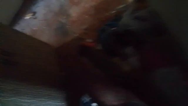 Лазаем по заброшке
