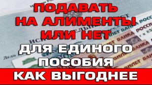 Подавать на алименты или нет что выгоднее для Единого пособия в 2024 году