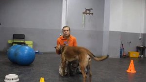 Команда Ко мне.  Быстро, надежно, с первого раза. Убираем ошибки  по команде ко мне.