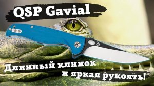 Обзор ножа QSP Gavial. Синий крокодил с длинным клинком! Персидские мотивы, часть вторая.