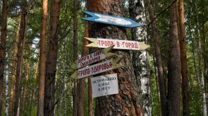 27 сентября — Всемирный день туризма