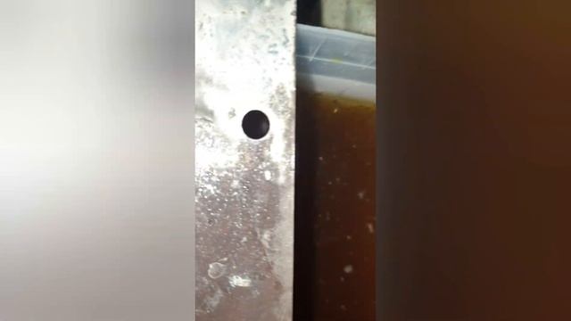 Титан или нержавейка в электролизе,  что лучше?