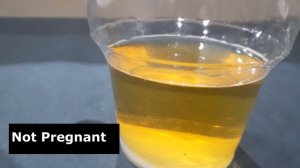 BAKING SODA PREGNANCY TEST : IS IT ACCURATE ?