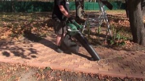 Пылесос для сада. Плох он или хорош. Проводим испытания.