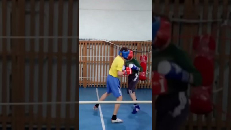 Новички зарубились