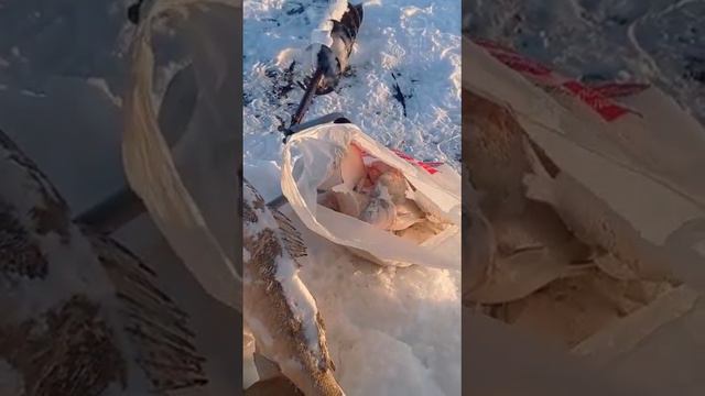 рыбалка на гидроузле 16,12,2022 Омск смотреть онлайн