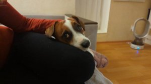 Ричи хочет спать)