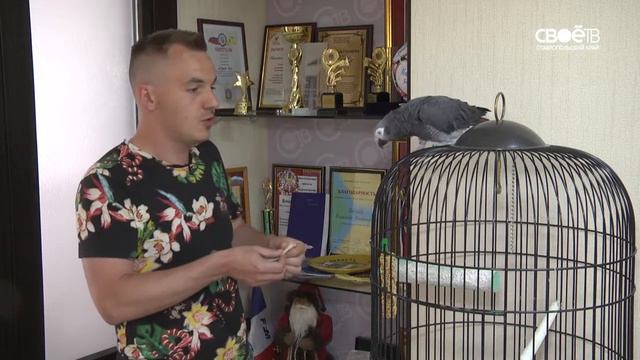 Жора предсказывает результат матча Нигерия - Хорватия смотреть онлайн