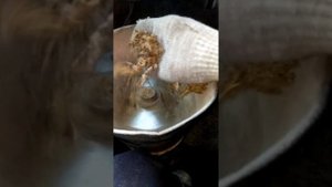 АМАРАНТ как кормовая добавка птице