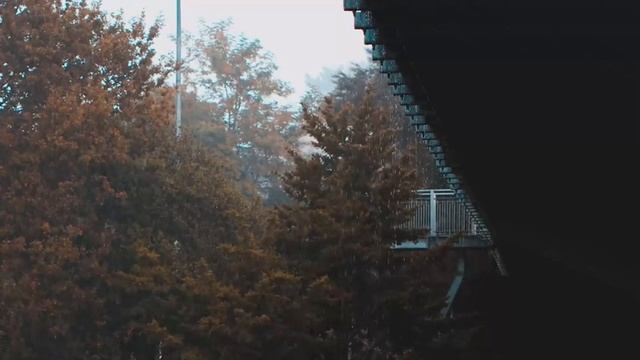 Lluvia Relajante en el Techo para Dormir en 15 Minutos - Sonido de Lluvia en Bosque Brumoso