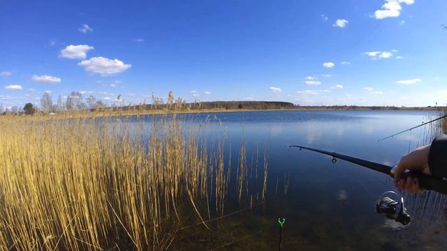 ОТЛИЧНЫЙ КЛЁВ КРАСНОПЁРКИ С КАЖДОГО ЗАБРОСА.РЫБАЛКА В МАЕ НА ПОПЛАВОК 2020.Рыбалка на озере в мае. смотреть онлайн