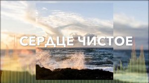 Христианские Песни - Сердце чистое не плачет - Степан Василишин