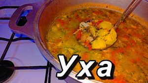 ГОРЯЧЕЕ БЛЮДО!  УХА ИХ ГОЛОВ ЗЕРКАЛЬНОГО КАРПА И САЗАНА В КАЗАНЕ!