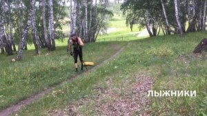 Прыжковая имитация с шиной