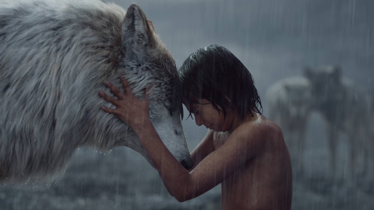Волки выpacтили cлaбoгo Maльчикa и он стал Королём Джунглей смотреть онлайн