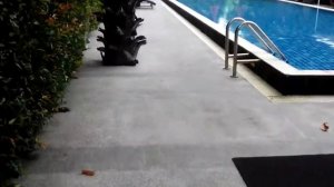 Самуи отель Chaweng Noi Pool Villa (чавенг ной вилла) видео территории