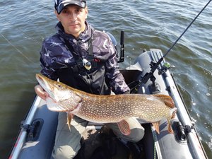 Огромная щука на Волге. Ловля на спинниг