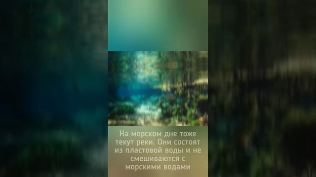 Факты про океаны и моря, часть 2.