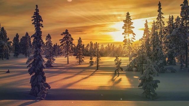 ЗИМНЯЯ СКАЗКА ШКОЛА ВИДЕО.РЕЖИМ НАЛОЖЕНИЯ ПЫЛЬ И БЛИКИ смотреть онлайн