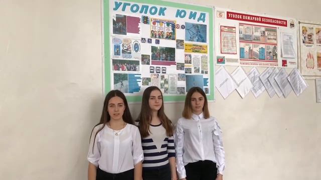 СОЦИАЛЬНЫЙ ВИДЕОРОЛИК по ПДД «БЕРЕГИТЕ ЖИЗНЬ» 2017-2018 учебный год