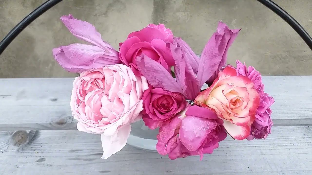 ЧЕРЕНКОВАНИЕ РОЗ и КЛЕМАТИСОВ 19.06.24г смотреть онлайн