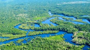 Реки мира: Амазонка. Правда, что это самая длинная река?