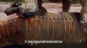 ЗЕМЛЯ ВО ВРЕМЯ ДИНОЗАВРОВ