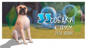 33 СОБАКИ. Стрим #1 #SimS4
