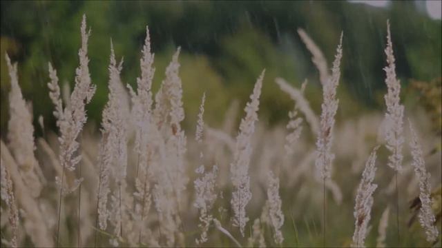 Я в поле вышел утром ранним | Христианские Песни